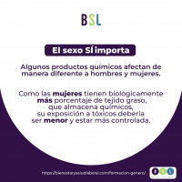 Género y Diversidad