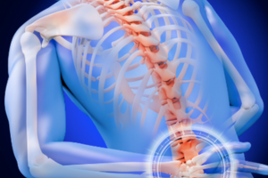 Reforzar sistema musculo-esqueletico BSL Bienestar y Salud Laboral Reforzar sistema musculo-esqueletico BSL Bienestar y Salud Laboral