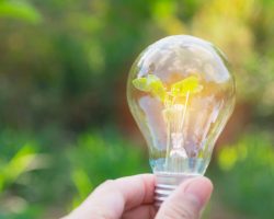 BSL Empresa saludable BSL Empresa saludable